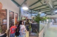 Πραγματοποιήθηκε η πρώτη επίσημη εκπαιδευτική επίσκεψη στο Πάρκο Ερπετών & Αμφιβίων Νέου Χωριού!