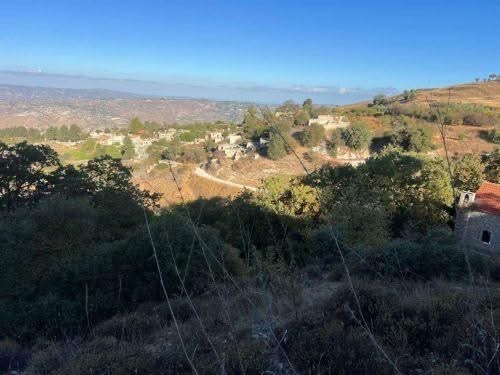 Ξηρά χόρτα και άγρια βλάστηση έκαψε φωτιά στα Πάνω Χολέτρια πριν τεθεί υπό έλεγχο