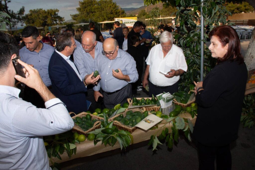 Επιτυχημένη η πραγματοποίηση του 1ου Φεστιβάλ Αβοκάντο Αργάκας