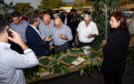 Επιτυχημένη η πραγματοποίηση του 1ου Φεστιβάλ Αβοκάντο Αργάκας