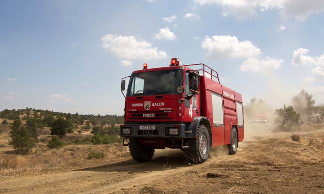 Υπό πλήρη έλεγχο δασική πυρκαγιά σε περιοχή των Κελοκεδάρων