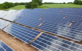 Φαίδωνος: « Στην Κύπρο έχει στηθεί εδώ και χρόνια μια ολόκληρη παραοικονομία  εμπορίας αδειών για φωτοβολταϊκά πάρκα»