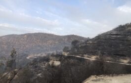 Συνδρομη από δύο ιορδανικά ελικόπτερα ζήτησε η Κύπρος, λέει ο Α. Γρηγορίου