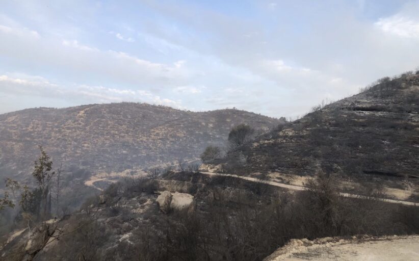 Συνδρομη από δύο ιορδανικά ελικόπτερα ζήτησε η Κύπρος, λέει ο Α. Γρηγορίου