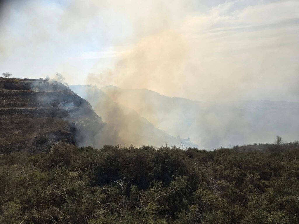 Υπό πλήρη έλεγχο η δασική πυρκαγιά μεταξύ των κοινοτήτων Κάθηκα - Ακουρσού