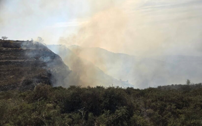 Υπό πλήρη έλεγχο η δασική πυρκαγιά μεταξύ των κοινοτήτων Κάθηκα - Ακουρσού