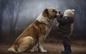 Εκδήλωση διαμαρτυρίας εξώ από το Δημοτικό Μέγαρο του Δ. Ιεροκηπίας και σύσκεψη για το Καταφύγιο Ζώων