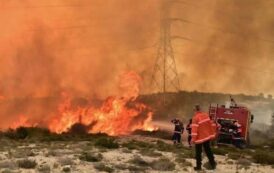 Μισό δεκάριο γης με χαμηλή βλάστηση έκαψε πυρκαγιά σε περιοχή της Αναρίτας