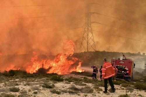 Μισό δεκάριο γης με χαμηλή βλάστηση έκαψε πυρκαγιά σε περιοχή της Αναρίτας