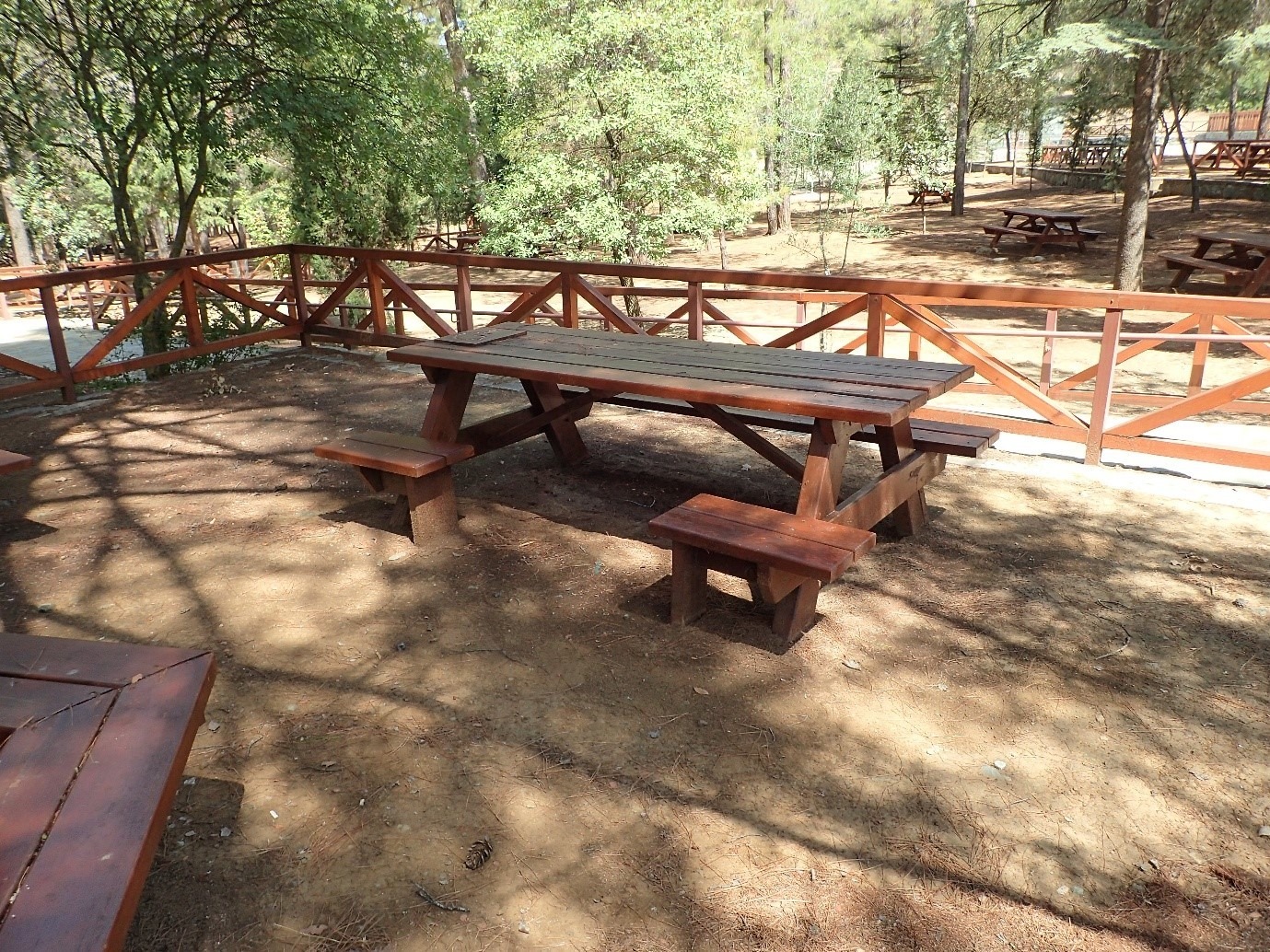 «Διαδρομές χωρίς αποκλεισμούς» – Το Τμήμα Δασών πρωτοπορεί σε έργα προσβασιμότητας μέσω του Προγράμματος Interreg Ελλάδα–Κύπρος