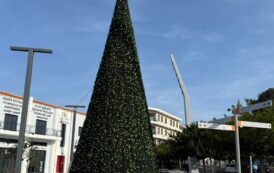 Η Πάφος ετοιμάζεται για τις γιορτές και φοράει τα γιορτινά της (ΦΩΤΟ)