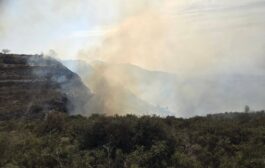Υπό έλεγχο η φωτιά στα όρια της κοινότητας Δρούσιας της επαρχίας Πάφου