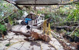 Ζημιές στην Τάλα από ανεμοστρόβιλο