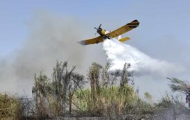 Α. Γρηγορίου: Διαγωνισμός για τρία πυροσβεστικά αεροσκάφη