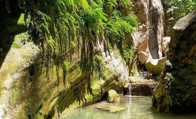 Κλειστό το «Φαράγγι του Άβακα» από το Σάββατο, λέει το Τμ. Δασών