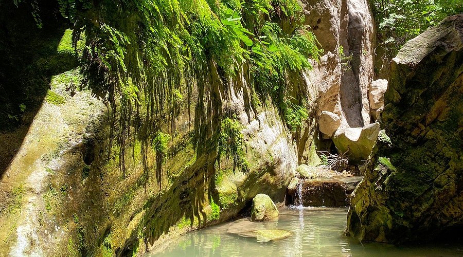 Κλειστό το «Φαράγγι του Άβακα» από το Σάββατο, λέει το Τμ. Δασών