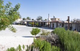 Η Μαγεία των Χριστουγέννων στον Μούτταλο