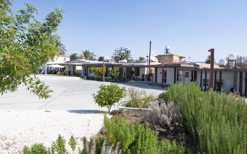 Η Μαγεία των Χριστουγέννων στον Μούτταλο