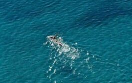 Άνοδος θερμοκρασίας και καλοκαιρία τα Θεοφάνεια, λέει Μετεωρολογικός Λειτουργός