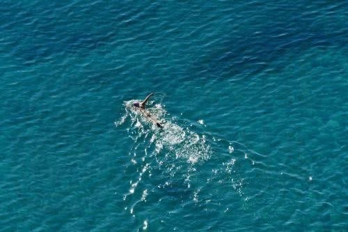 Άνοδος θερμοκρασίας και καλοκαιρία τα Θεοφάνεια, λέει Μετεωρολογικός Λειτουργός