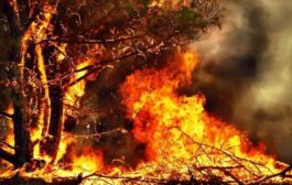 Έργο εμπρηστών οι διάσπαρτες φωτιές στην Αρχιμανδρίτα, λέει ο Σ. Ιεζεκιήλ