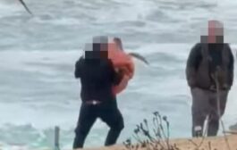 Πρέπει να ακολουθούνται οι ενδεδειγμένες διαδικασίες, λέει η Επ. Περιβάλλοντος για διερευνώμενο συμβάν με χελώνα