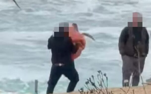 Πρέπει να ακολουθούνται οι ενδεδειγμένες διαδικασίες, λέει η Επ. Περιβάλλοντος για διερευνώμενο συμβάν με χελώνα