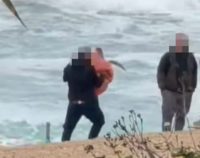 Πρέπει να ακολουθούνται οι ενδεδειγμένες διαδικασίες, λέει η Επ. Περιβάλλοντος για διερευνώμενο συμβάν με χελώνα