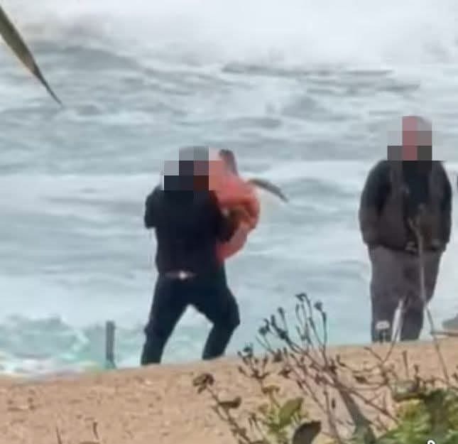 Πρέπει να ακολουθούνται οι ενδεδειγμένες διαδικασίες, λέει η Επ. Περιβάλλοντος για διερευνώμενο συμβάν με χελώνα