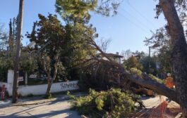 Σε 17 περιστατικά λόγω ισχυρών ανέμων ανταποκρίθηκε η Πυροσβεστική
