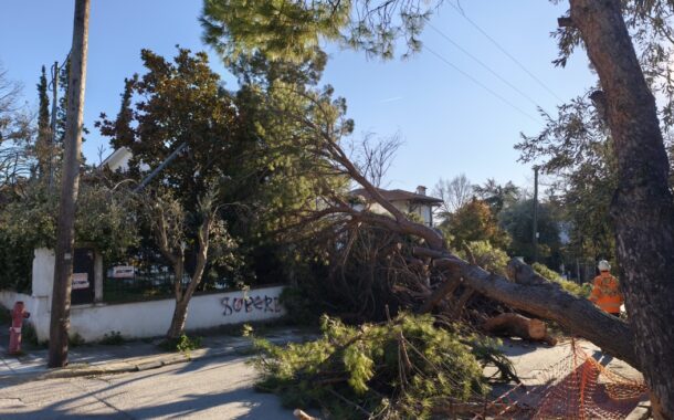 Σε 17 περιστατικά λόγω ισχυρών ανέμων ανταποκρίθηκε η Πυροσβεστική