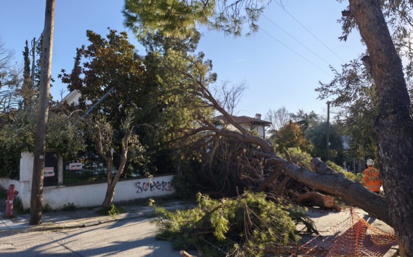 Σε 17 περιστατικά λόγω ισχυρών ανέμων ανταποκρίθηκε η Πυροσβεστική