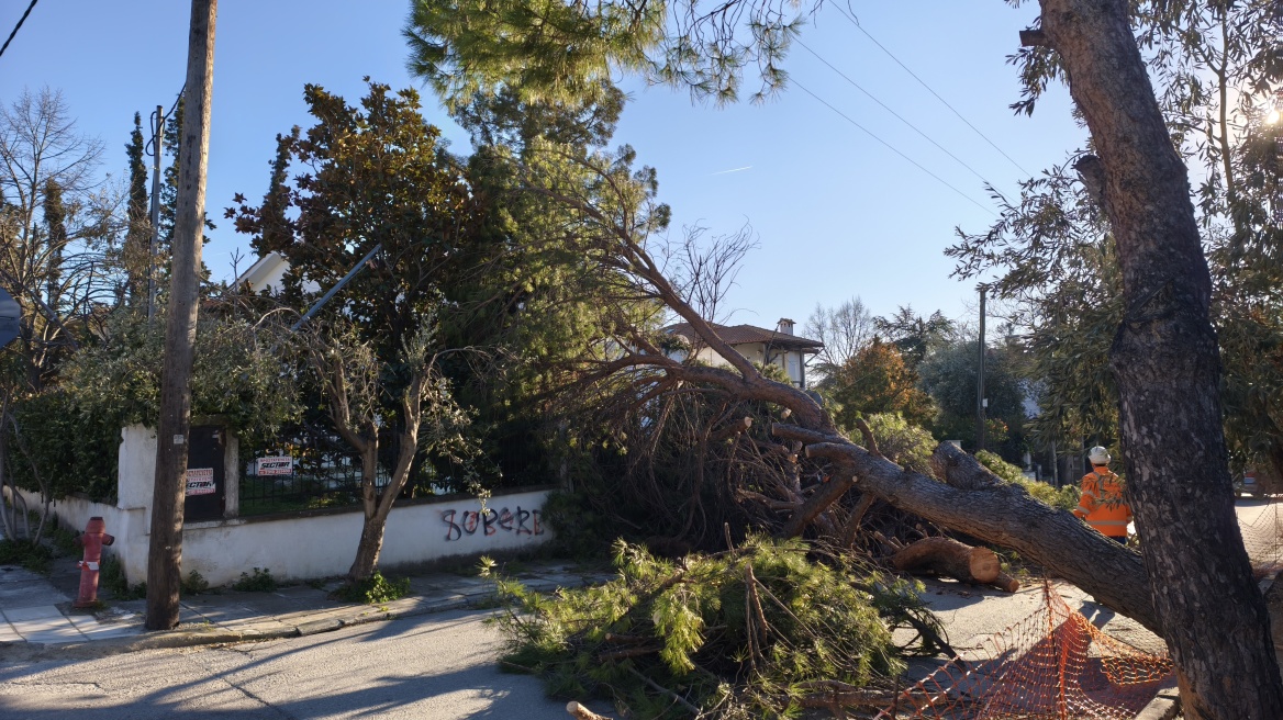 Σε 17 περιστατικά λόγω ισχυρών ανέμων ανταποκρίθηκε η Πυροσβεστική