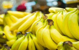 Αγωνία παραγωγών για το μέλλον της μπανανοκαλλιέργειας στην Πάφο