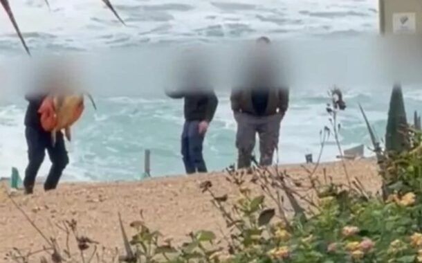 Σάλος στη Χλώρακα για βίντεο κακομεταχείρισης θαλάσσιας χελώνας - Βίντεο