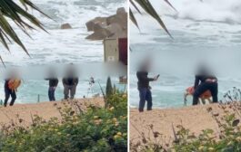 Το Κίνημα Οικολόγων – Συνεργασία Πολιτών για περιστατικό με χελώνα