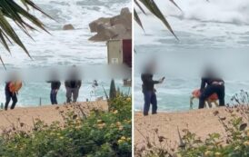 Το Κίνημα Οικολόγων – Συνεργασία Πολιτών για περιστατικό με χελώνα