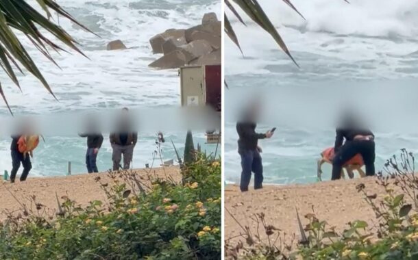 Το Κίνημα Οικολόγων – Συνεργασία Πολιτών για περιστατικό με χελώνα