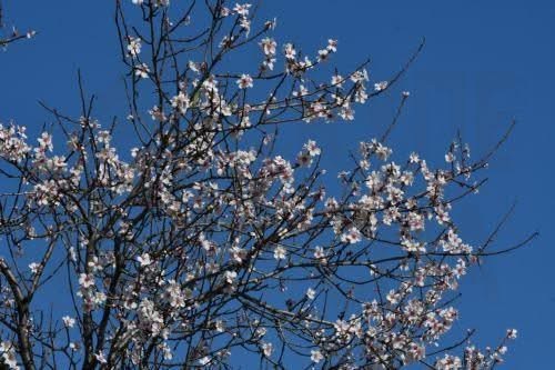 Επ. Περιβάλλοντος: Υπεγράφη σύμβαση για ένταξη Κοιλάδων Ξερού-Διαρίζου στο Δίκτυο Βιόσφαιρας UNESCO