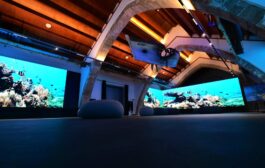 ΠΡΟΚΗΡΥΞΗ ΜΙΑΣ (1) ΘΕΣΗΣ ΘΕΡΙΝΗΣ ΠΡΑΚΤΙΚΗΣ ΑΣΚΗΣΗΣ ΓΙΑ ΦΟΙΤΗΤΕΣ ΠΑΝΕΠΙΣΤΗΜΙΟΥ