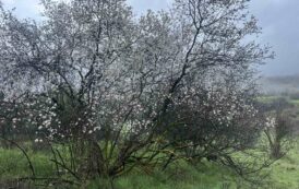 Επ. Περιβάλλοντος: Υπεγράφη σύμβαση για ένταξη Κοιλάδων Ξερού-Διαρίζου στο Δίκτυο Βιόσφαιρας UNESCO