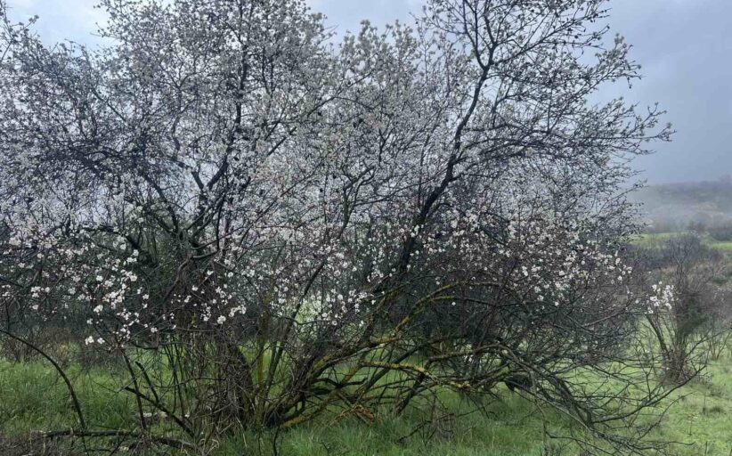 Επ. Περιβάλλοντος: Υπεγράφη σύμβαση για ένταξη Κοιλάδων Ξερού-Διαρίζου στο Δίκτυο Βιόσφαιρας UNESCO