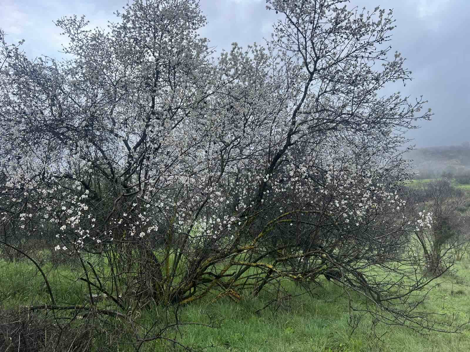 Επ. Περιβάλλοντος: Υπεγράφη σύμβαση για ένταξη Κοιλάδων Ξερού-Διαρίζου στο Δίκτυο Βιόσφαιρας UNESCO