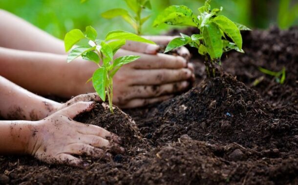 Επέκταση προγράμματος δενδροφυτεύσεων «Φυτεύω για το Κλίμα»