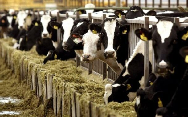 Κατασκευή δεξαμενών σε Τίμη και Αναρίτα για απολύμανση των οχημάτων που εισέρχονται στις κτηνοτροφικές μονάδες