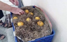 Οι καθημερινές πρακτικές των ανθρώπων της υπαίθρου