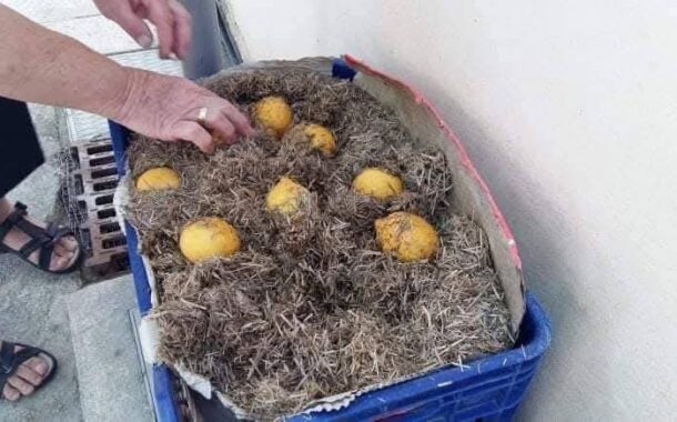 Οι καθημερινές πρακτικές των ανθρώπων της υπαίθρου