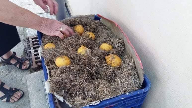 Οι καθημερινές πρακτικές των ανθρώπων της υπαίθρου