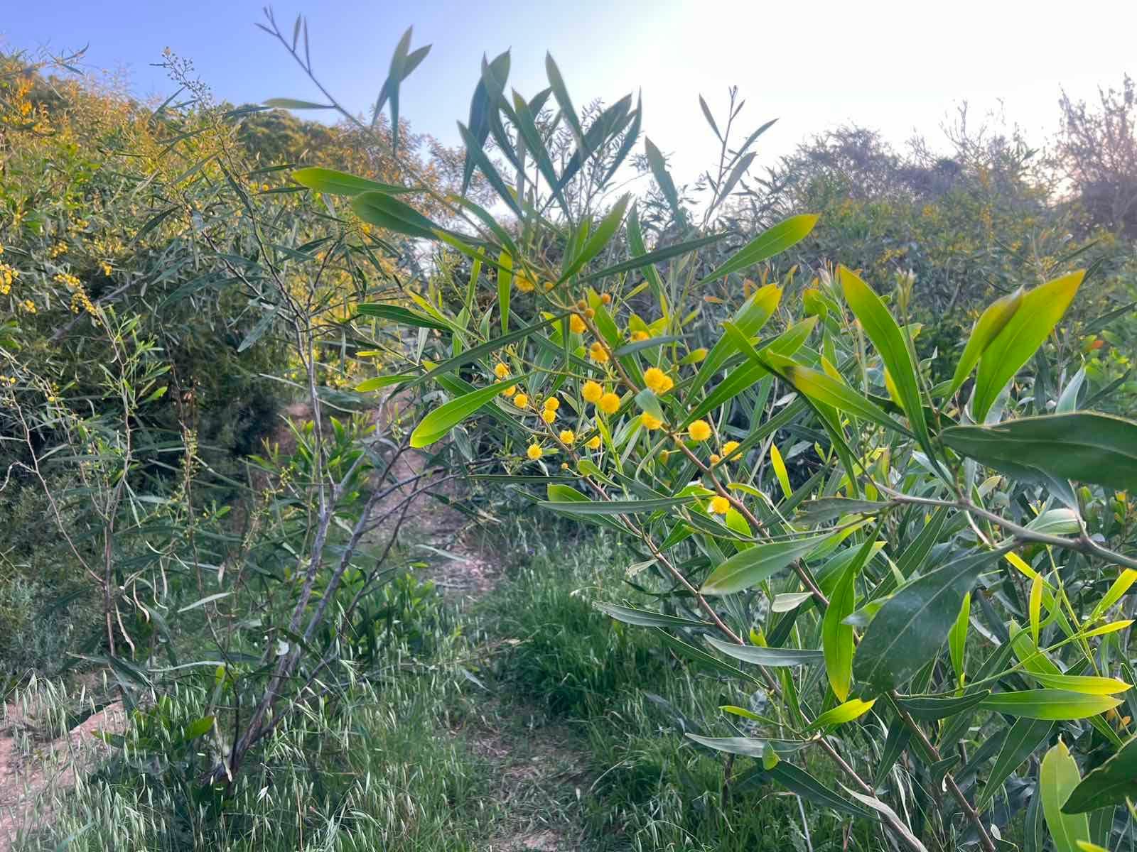 Κίτρινη προειδοποίηση για καταιγίδες την Πέμπτη εξέδωσε η Μετεωρολογική Υπηρεσία