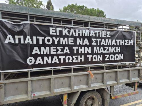 Τον τερματισμό της μαζικής θανάτωσης ζώων ζητούν κτηνοτρόφοι έξω από το Προεδρικό